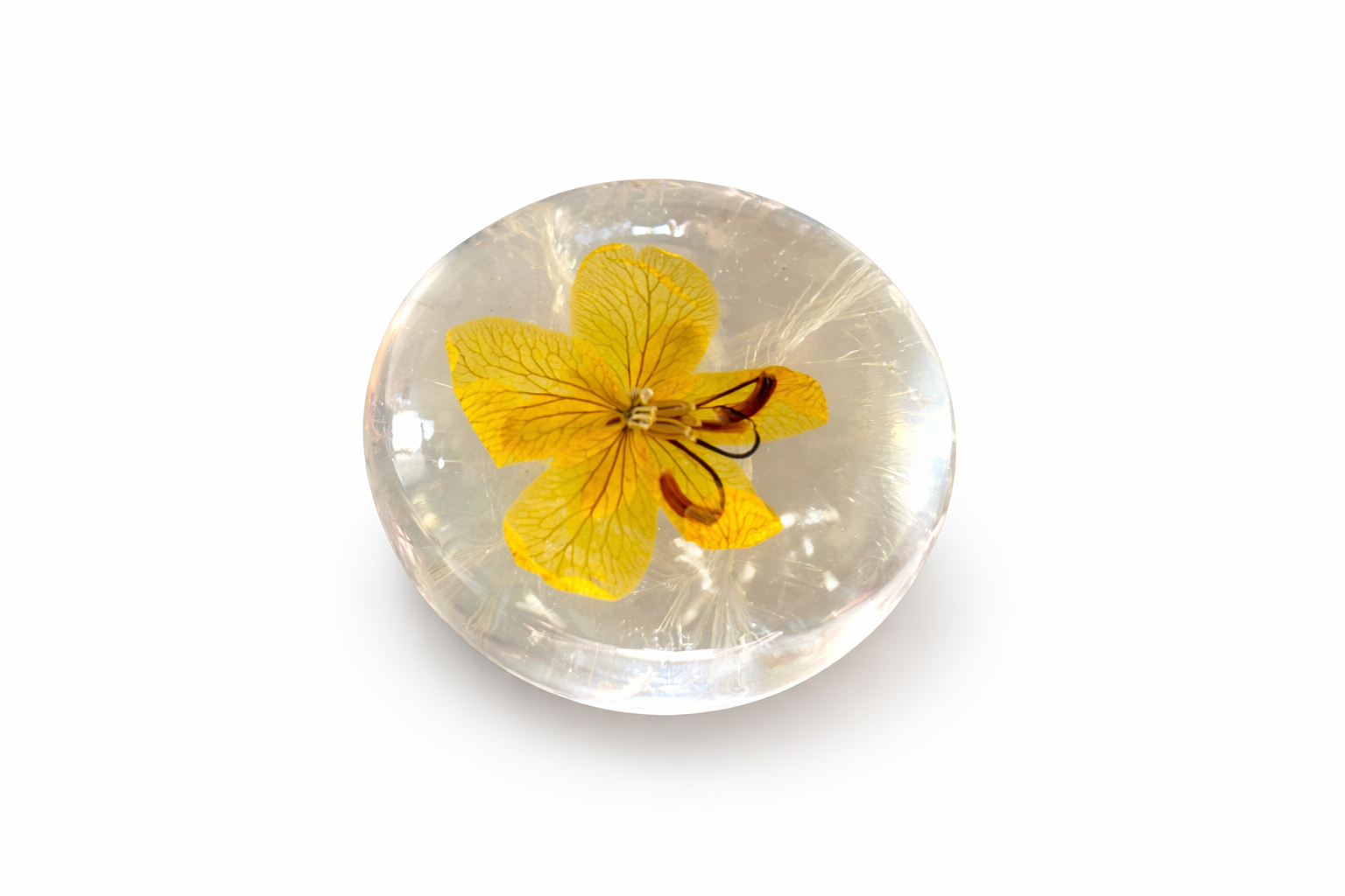 Savon Fleur Cristal (Acide Hyaluronique & Hydratation)
